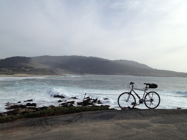 Bicycle in Monterey Winter